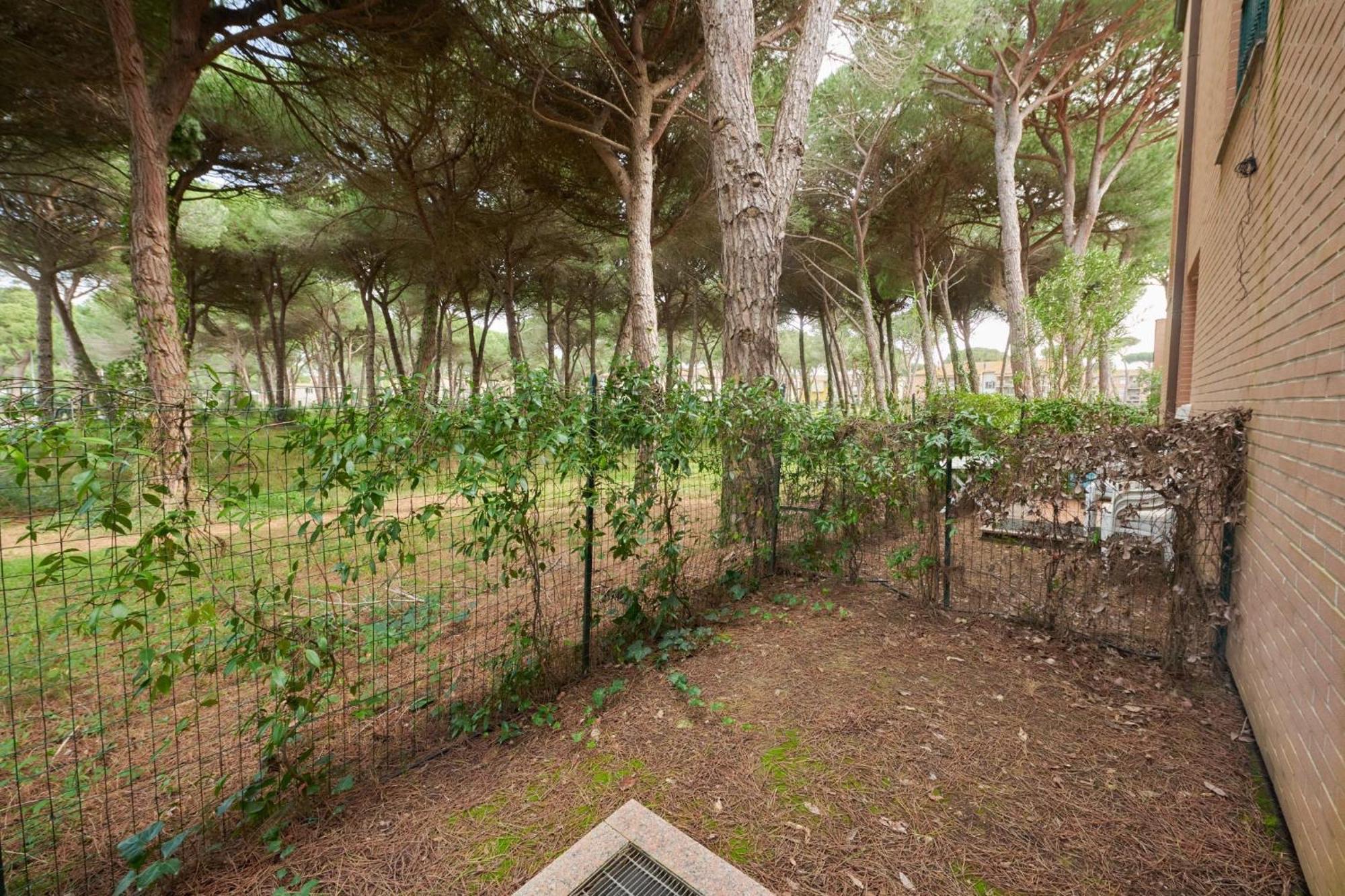Aparthotel Pineta Azzurra Marina di Grosseto Esterno foto