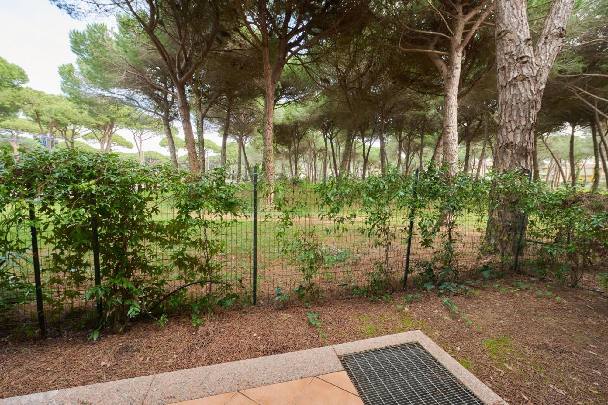 Aparthotel Pineta Azzurra Marina di Grosseto Esterno foto